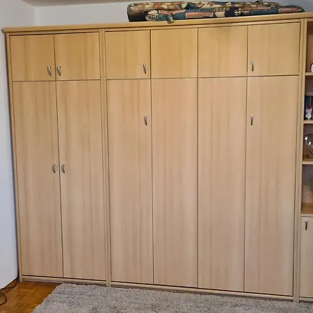 Pematra Seeschwalbe